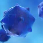 Microscopic view of a cancerous cell in Pancreatic Cancer